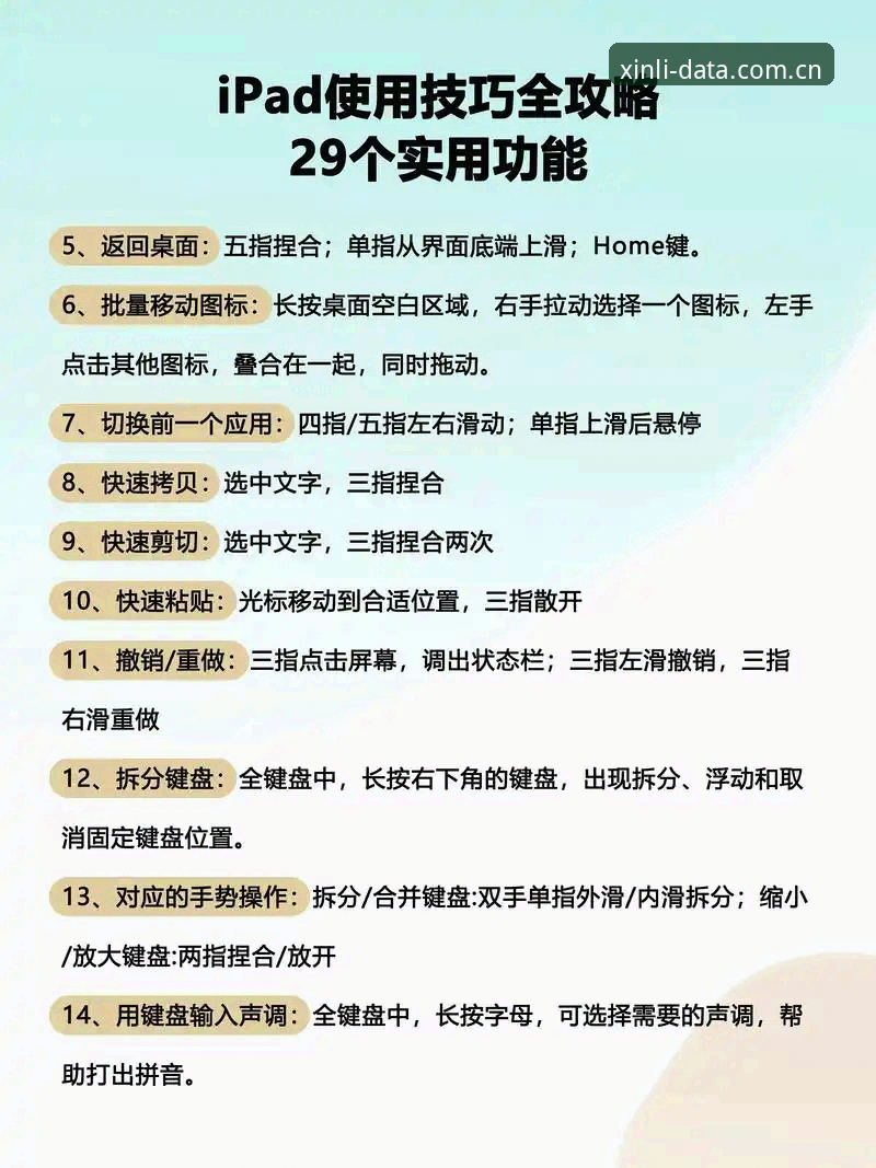 从新手到行家：新利体育使用教程全面解析——数据平台的真实体验与操作指南